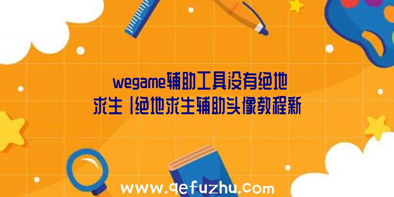 「wegame辅助工具没有绝地求生」|绝地求生辅助头像教程新手